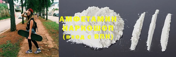 индика Абинск