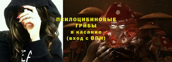 трава Абаза