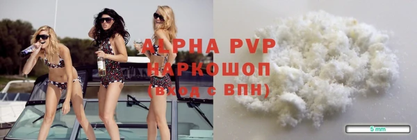 индика Абинск