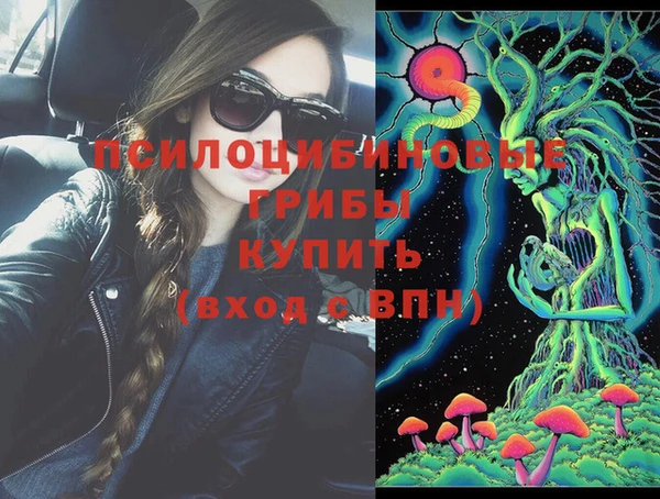 стафф Алзамай