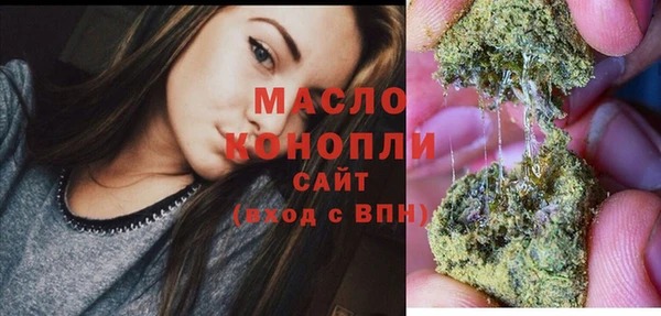 индика Абинск