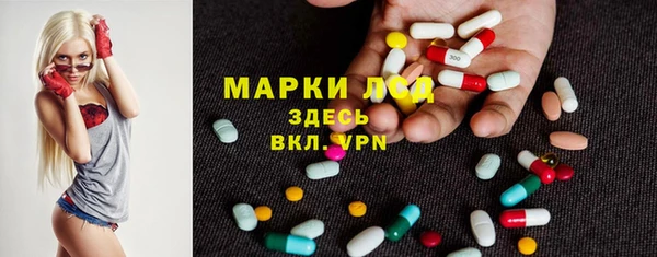 индика Абинск