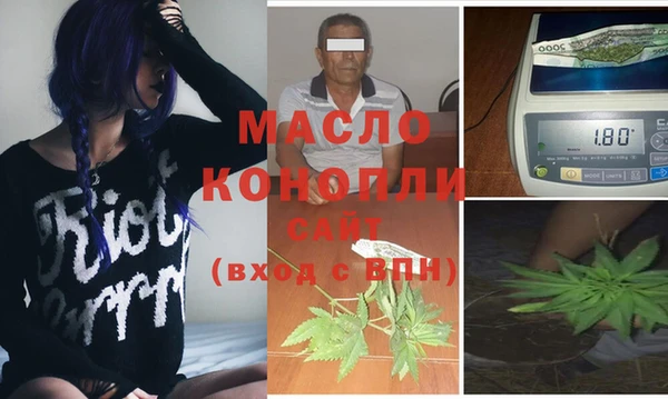 индика Абинск