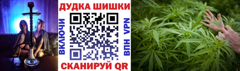 купить наркотики цена  Тарко-Сале  Бошки Шишки THC 21% 